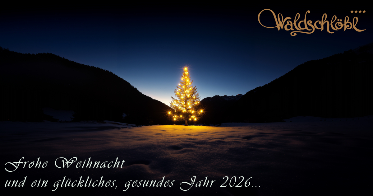 Wir wünschen frohe Weihnachten und ein glückliches, gesundes Jahr 2026 !