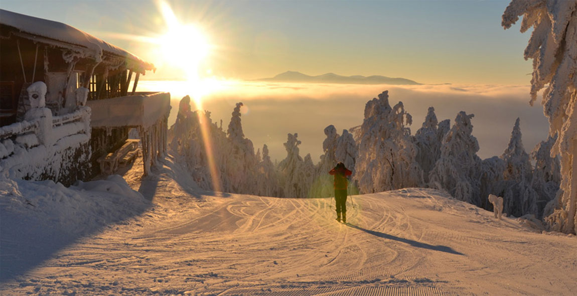 Skiwochen Spezial im Bayerischen Wald