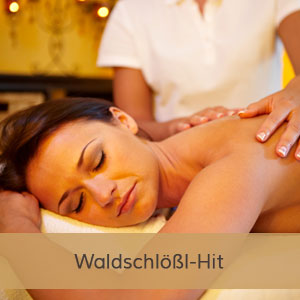 Angebot | Sport- und Wellnesshotel Waldschlößl